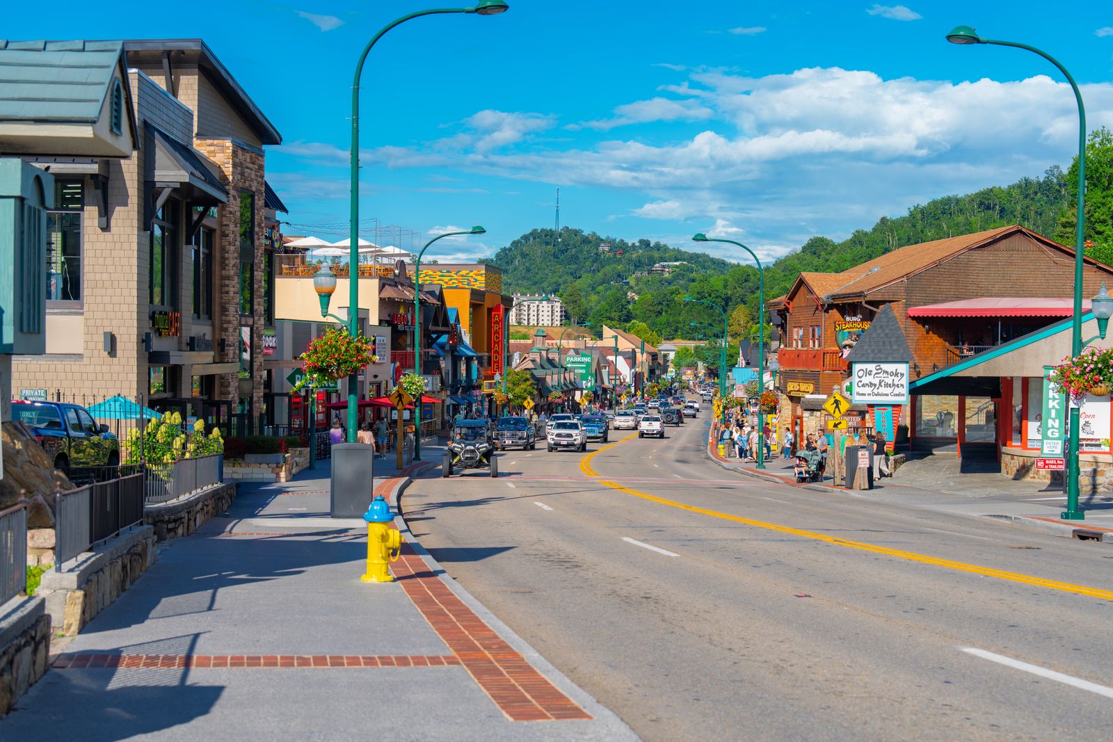 Streets and homes in North Asheville